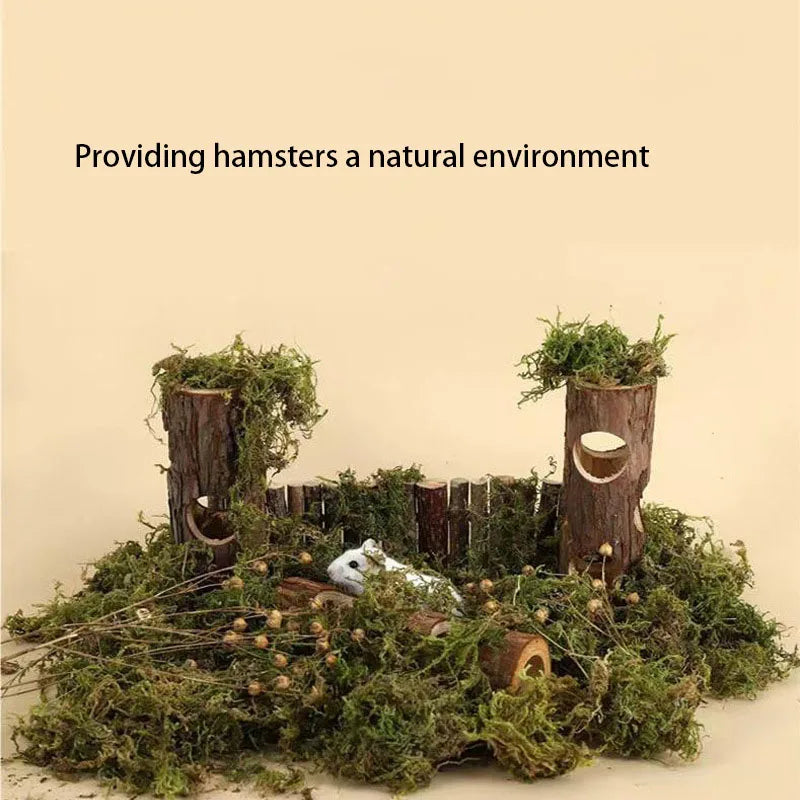 Hamster & Rabbit Teeth Grinding Toy