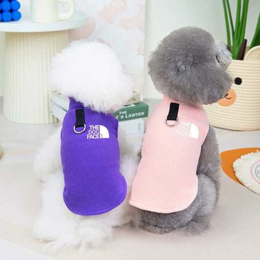 🐕 French Bulldog & Chihuahua Sweater