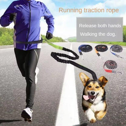 Hands-Free Dog Leash