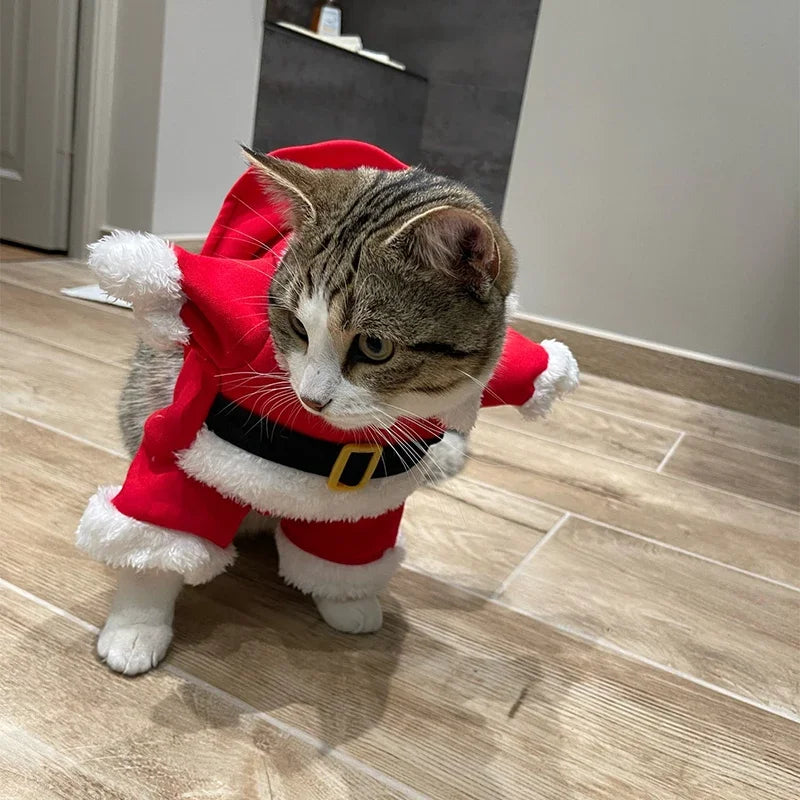 Santa Outfit For Pets