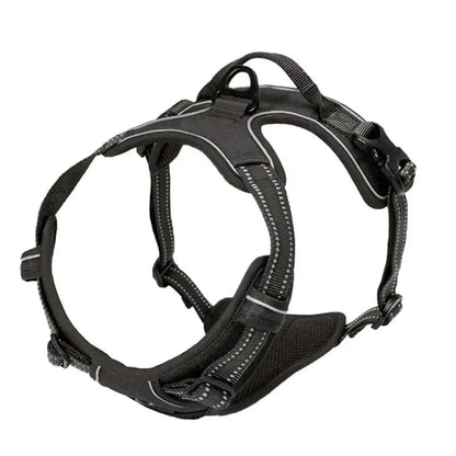 Dog Collars, Harness & Leash Set