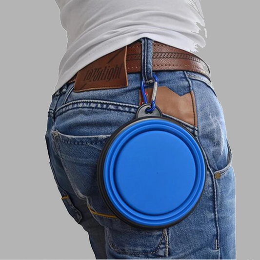 Olding Silicone Pet Bowl