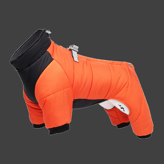❄️🐕 Winter Dog Jacket – Warm & Waterproof