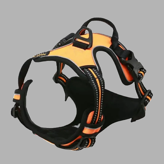 Dog Collars, Harness & Leash Set